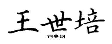 丁謙王世培楷書個性簽名怎么寫