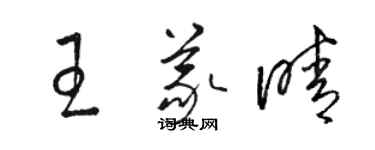 駱恆光王義晴草書個性簽名怎么寫