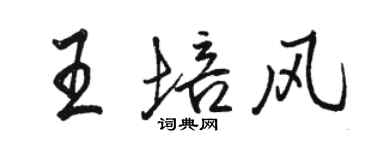 駱恆光王培風行書個性簽名怎么寫