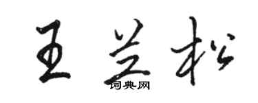 駱恆光王蘭松行書個性簽名怎么寫