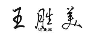 駱恆光王勝美行書個性簽名怎么寫