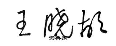 駱恆光王曉胡草書個性簽名怎么寫