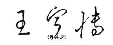 駱恆光王寧博草書個性簽名怎么寫