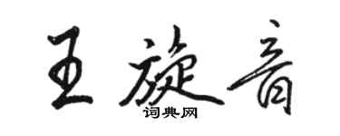 駱恆光王旋音行書個性簽名怎么寫
