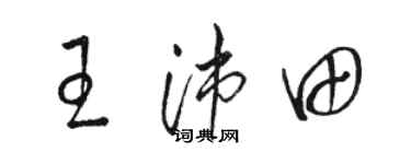 駱恆光王沛田草書個性簽名怎么寫