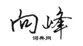 駱恆光向峰行書個性簽名怎么寫