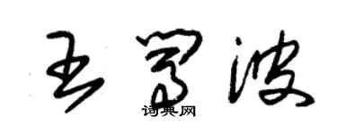 朱錫榮王闖波草書個性簽名怎么寫