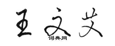 駱恆光王文艾行書個性簽名怎么寫