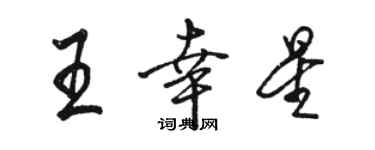 駱恆光王幸星行書個性簽名怎么寫
