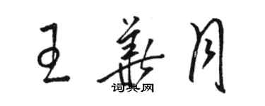 駱恆光王華月草書個性簽名怎么寫