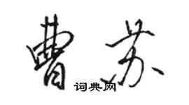 駱恆光曹蘇行書個性簽名怎么寫