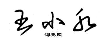 朱錫榮王小水草書個性簽名怎么寫