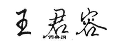 駱恆光王君容行書個性簽名怎么寫