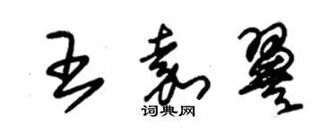 朱錫榮王嘉翼草書個性簽名怎么寫