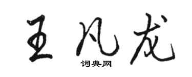 駱恆光王凡龍行書個性簽名怎么寫