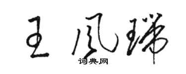 駱恆光王風瑞草書個性簽名怎么寫