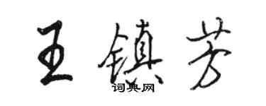 駱恆光王鎮芳行書個性簽名怎么寫