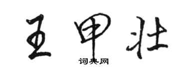 駱恆光王甲壯行書個性簽名怎么寫