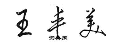 駱恆光王豐美行書個性簽名怎么寫