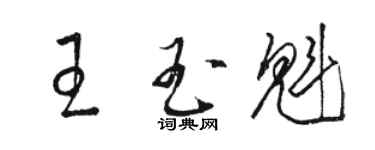 駱恆光王玉魁草書個性簽名怎么寫