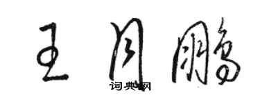 駱恆光王月鵬草書個性簽名怎么寫