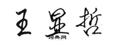 駱恆光王顯哲行書個性簽名怎么寫