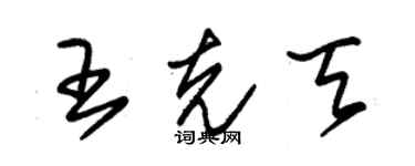 朱錫榮王克天草書個性簽名怎么寫