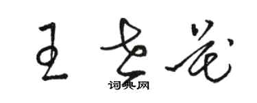 駱恆光王世花草書個性簽名怎么寫