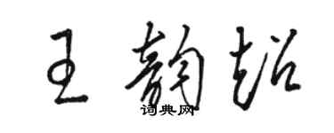 駱恆光王韻超草書個性簽名怎么寫