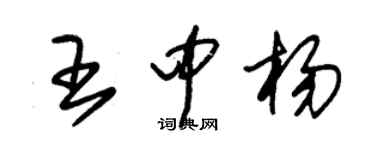 朱錫榮王中楊草書個性簽名怎么寫