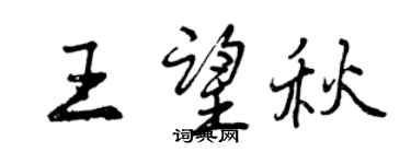曾慶福王望秋行書個性簽名怎么寫