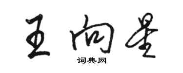 駱恆光王向星行書個性簽名怎么寫