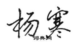 駱恆光楊寒行書個性簽名怎么寫