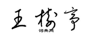 梁錦英王樹亭草書個性簽名怎么寫