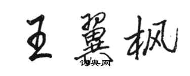 駱恆光王翼楓行書個性簽名怎么寫