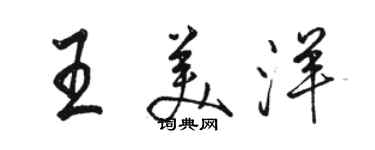 駱恆光王美洋行書個性簽名怎么寫