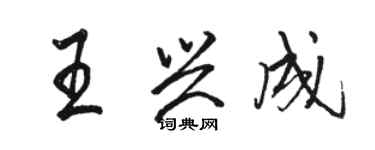 駱恆光王興成行書個性簽名怎么寫