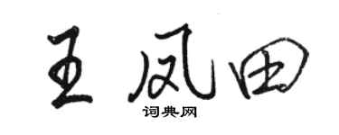 駱恆光王鳳田行書個性簽名怎么寫