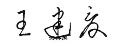 駱恆光王建夏草書個性簽名怎么寫