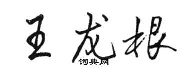駱恆光王龍根行書個性簽名怎么寫