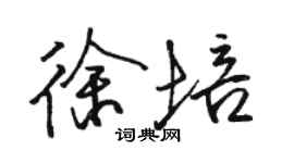 駱恆光徐培行書個性簽名怎么寫