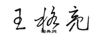 駱恆光王格亮草書個性簽名怎么寫