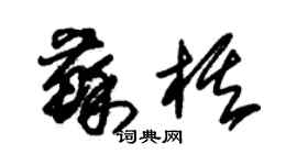 朱錫榮蘇棋草書個性簽名怎么寫