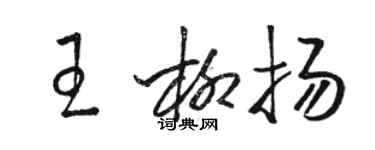 駱恆光王柳揚草書個性簽名怎么寫