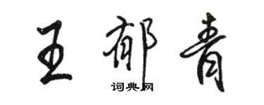 駱恆光王郁青行書個性簽名怎么寫