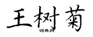 丁謙王樹菊楷書個性簽名怎么寫
