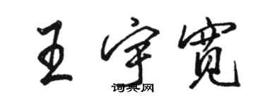 駱恆光王宇寬行書個性簽名怎么寫