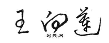 駱恆光王向蓮草書個性簽名怎么寫