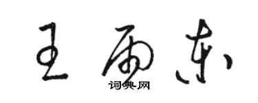 駱恆光王雨東草書個性簽名怎么寫