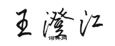 駱恆光王澄江行書個性簽名怎么寫